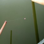 Фото рыбалки в Сом 1