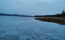 Фото рыбалки в Нижневоткинский лесоучасток 1