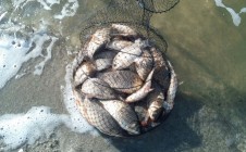 Фото рыбалки в Красноармейский район 9
