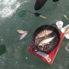 Фото рыбалки в Карась, Сазан, Судак 4