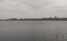 Фото рыбалки в Обухово, Оршанский район 11
