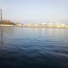Фото рыбалки в Густера, Лещ, Плотва 1