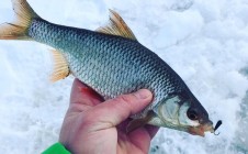 Фото рыбалки в городской округ Сокольский 10