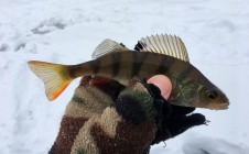 Фото рыбалки в городской округ Электросталь 4