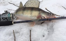 Фото рыбалки в городской округ Бронницы 3