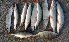 Фото рыбалки в Вагайский район 6