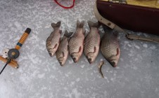 Фото рыбалки в Благодатное, Золотоношский район 1