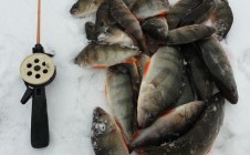 Фото рыбалки в Ялуторовский район 2