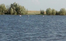 Фото рыбалки в Беляевка, Соль-Илецкий городской округ 3