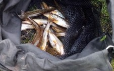 Фото рыбалки в Бугурусланский район 5