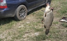 Фото рыбалки в Дубки, Саратовский район 4