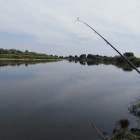 Фото рыбалки в Щука, Окунь 5