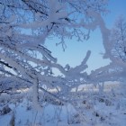 Фото рыбалки в Сом канальный 2