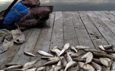 Фото рыбалки в Озёры, Гродненский район 7