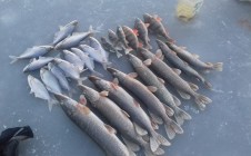 Фото рыбалки в Косоключанский 0