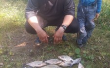 Фото рыбалки в Барышево 8