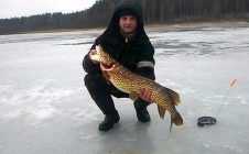 Фото рыбалки в Городокский район 6