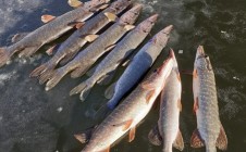 Фото рыбалки в Липовский 0