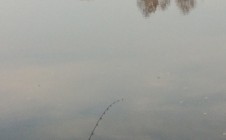 Фото рыбалки в Барвиха 3