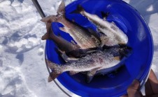 Фото рыбалки в Кордон Заповедника Северный 0