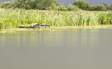 Фото рыбалки в Разино 4