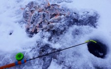 Фото рыбалки в Рыбно-Слободский район 9