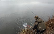 Фото рыбалки в Семь Озёр 5