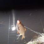 Фото рыбалки в Окунь 5