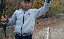 Фото рыбалки в Красносельское 4