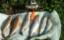 Фото рыбалки в садовые участки, городской округ Первоуральск 3