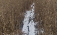 Фото рыбалки в Плотина, Невьянский городской округ 1