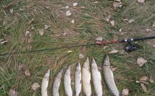 Фото рыбалки в Шапошниковка 1