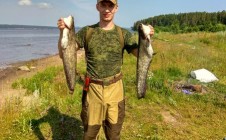 Фото рыбалки в Усть-Паль 1