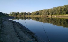 Фото рыбалки в Усть-Пристанский район 9
