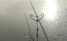 Фото рыбалки в Дмисевичи 7