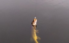 Фото рыбалки в Новая Руда 6