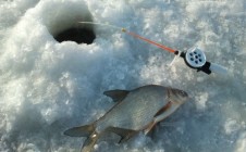 Фото рыбалки в Смоленская область 6