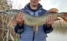 Фото рыбалки в Васильковский район 1
