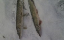Фото рыбалки в Удмуртская Республика 1