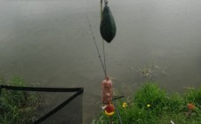 Фото рыбалки в Дивное озеро 5