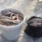Фото рыбалки в Окунь, Щука 0