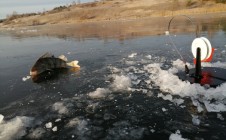 Фото рыбалки в Лыткино, Лысковский район 0