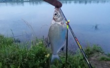 Фото рыбалки в Уразаево 7