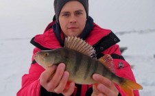 Фото рыбалки в ДНТ Речник, городской округ Сургут 8