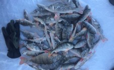 Фото рыбалки в Дубинино, Кабанский район 10