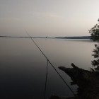 Фото рыбалки в Лещ, Плотва 2