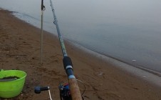 Фото рыбалки в СНТ Колос, Костромской район 2