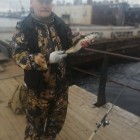 Фото рыбалки в Палия 2