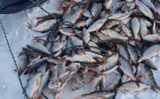 Фото рыбалки в Курская область 9