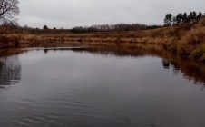 Фото рыбалки в Краснознаменский городской округ 2